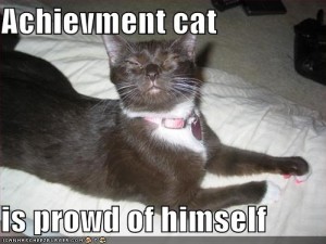 proud cat